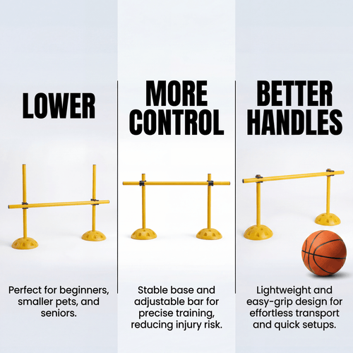 LOWZONE DRIBBLE BAR